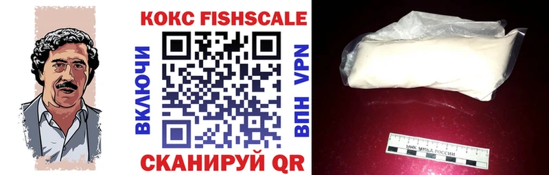 Купить закладки  Новозыбков  COCAIN 97% 
