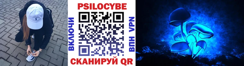 Купить  Новозыбков  Псилоцибиновые грибы ЛСД 